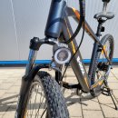 E Rock Advanced X1 eBike - ABVERKAUF